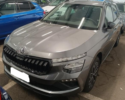 Skoda Kamiq 1.0TSi 115cv DSG Selection
