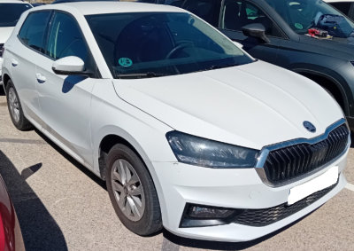 Skoda Fabia 1.0 TSI 116 ch EVO 2 DSG7 Selection