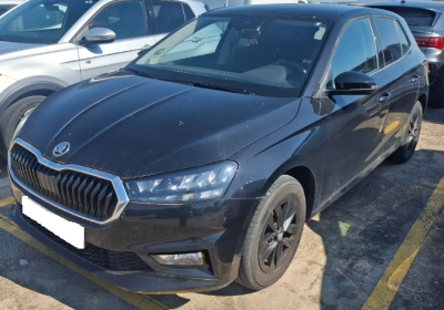 Skoda Fabia 1.0 TSI 116 ch EVO 2 DSG7 Selection