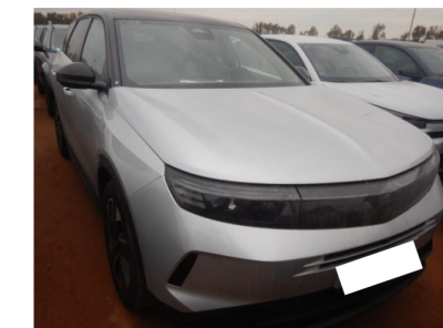 Opel Grandland 1.2 Turbo Hybrid 145 ch e-DCT6 GS